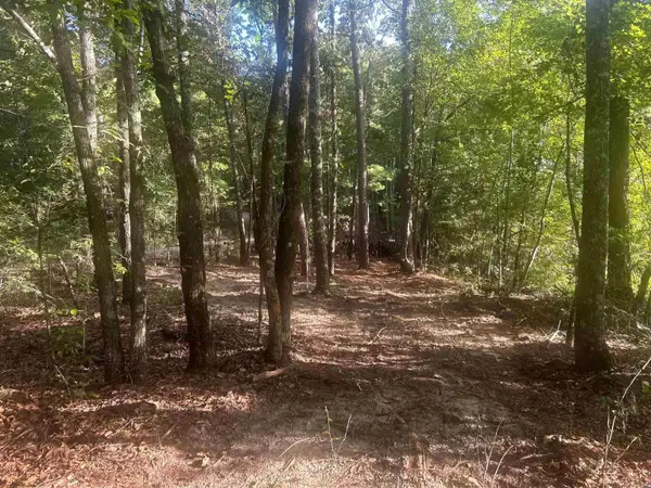TBD Camden Lane, Amity, AR 71921