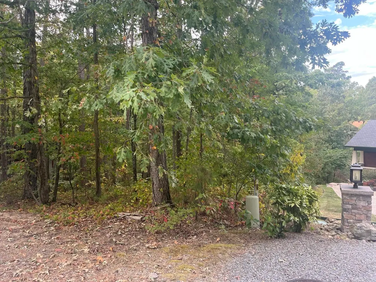 14 Guindola Circle, Hot Springs Village, AR 71909 - #1