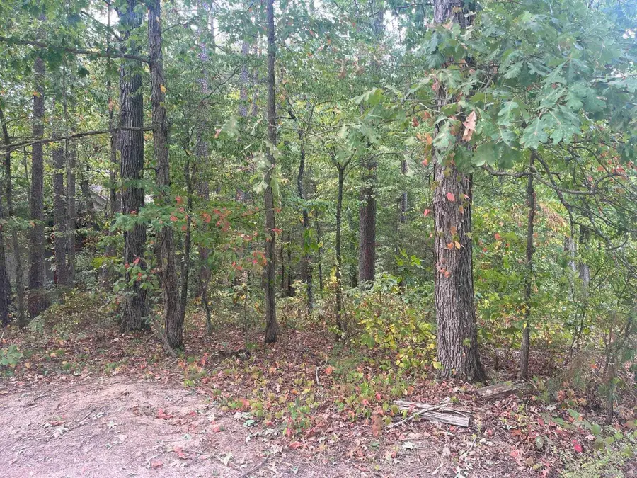 14 Guindola Circle, Hot Springs Village, AR 71909 - #3
