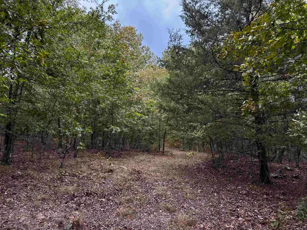 000 S 5 Highway, Mountain View, AR 72560