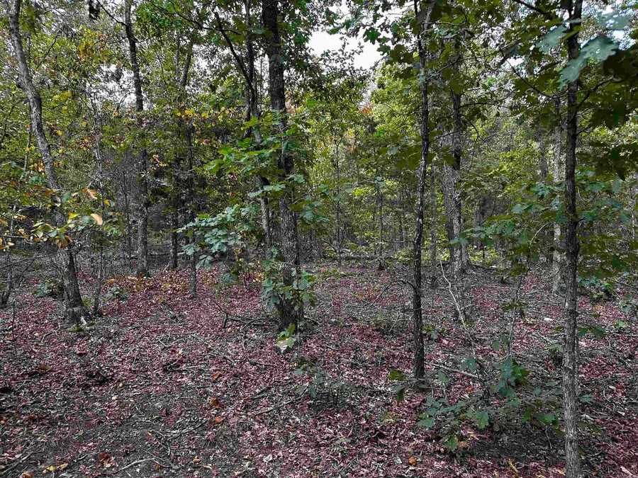 000 S 5 Highway, Mountain View, AR 72560 - #3