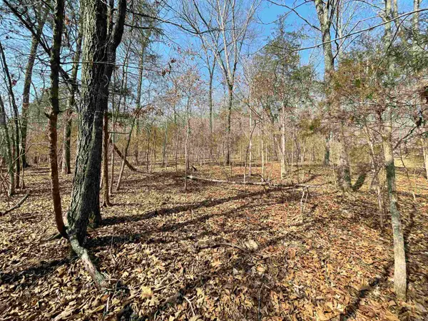 0000 Peace Mountain Road, Mountain View, AR 72560