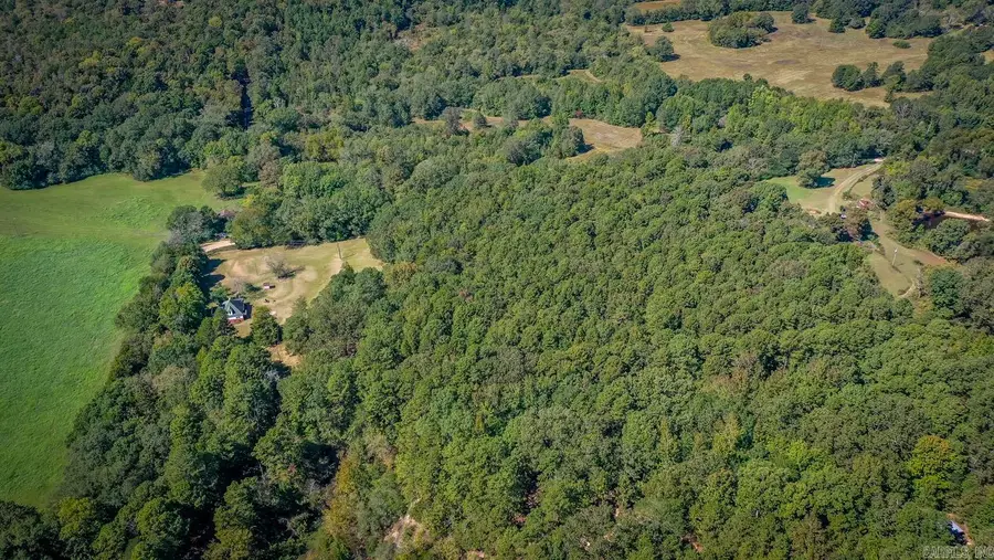Tbd Polk Road 165, Potter, AR 71953 - #3