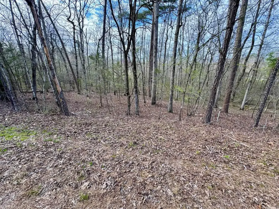 3 Saldana Way, Hot Springs Village, AR 71909 - #2