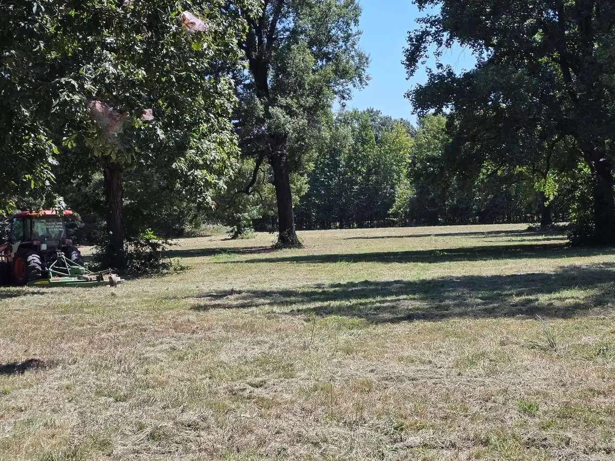 Address Withheld By Seller, Paragould, AR 72450 - #1
