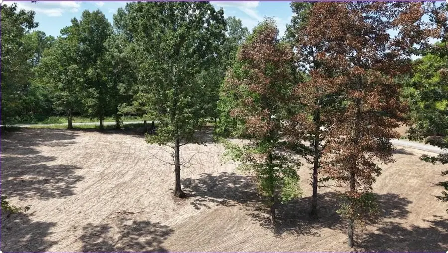 15 Colton Road, Calico Rock, AR 72519 - #3