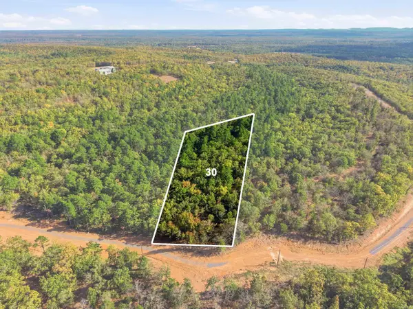 21 Sierra Sunset Cove, Conway, AR 72032