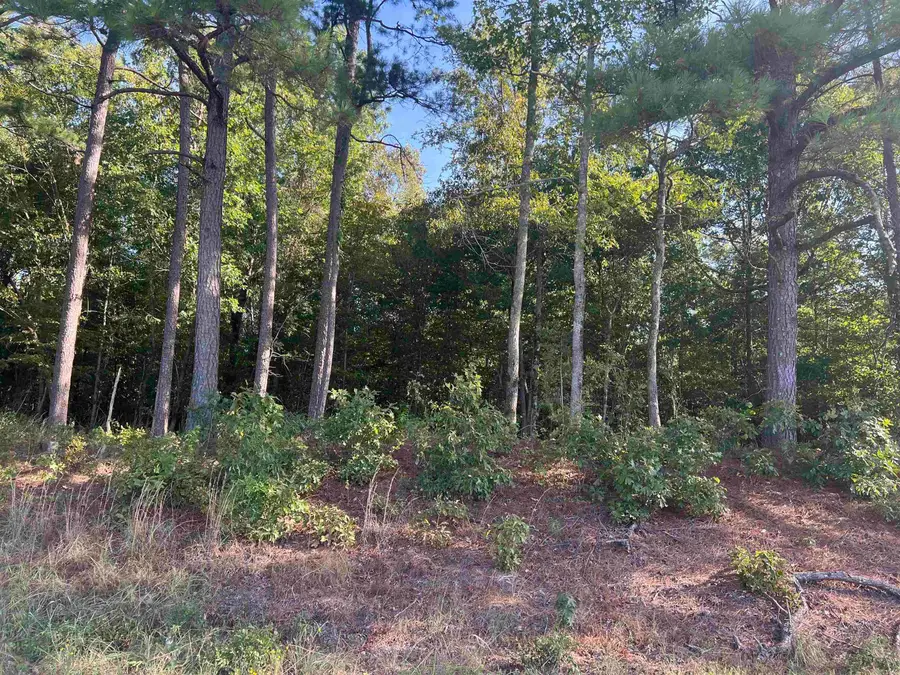 Address Withheld By Seller, Amity, AR 71921 - #3