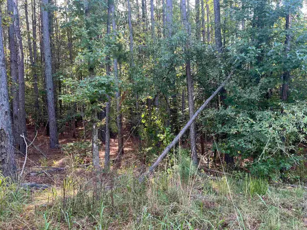 xx #6 Castle Road, Amity, AR 71921