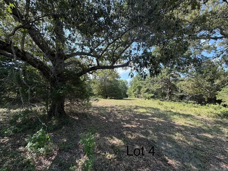 100 Mcclatchy Ln, Beebe, AR 72012 - #3