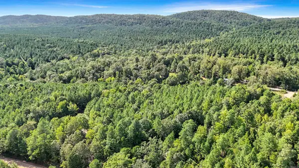 14 AC Chicot Trail, Bismarck, AR 71929