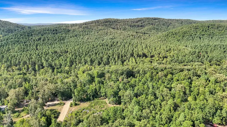 14 AC Chicot Trail, Bismarck, AR 71929 - #2