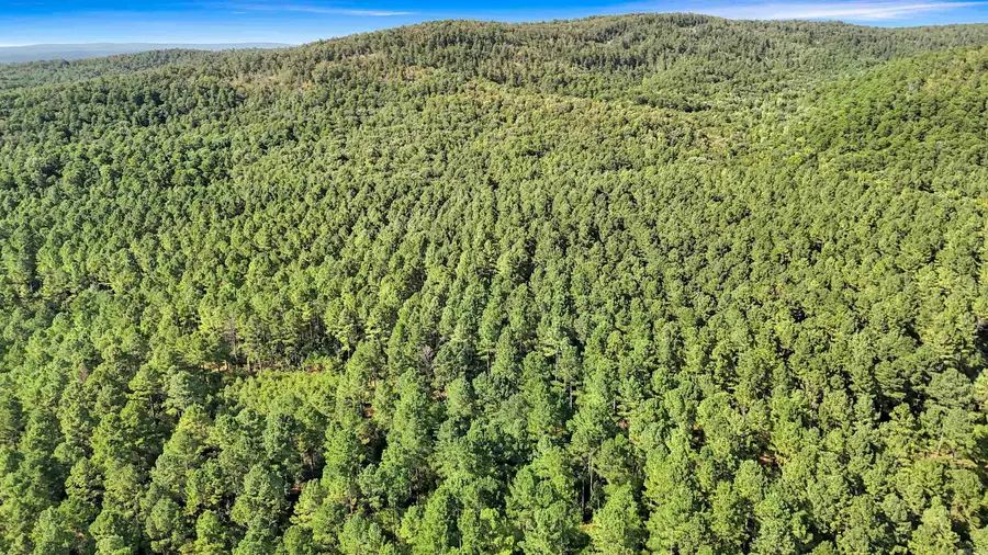 14 AC Chicot Trail, Bismarck, AR 71929 - #3