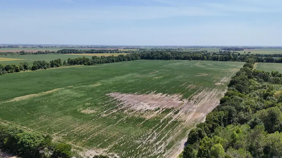 23666 Mickey Rd, Trumann, AR 72472 - #3