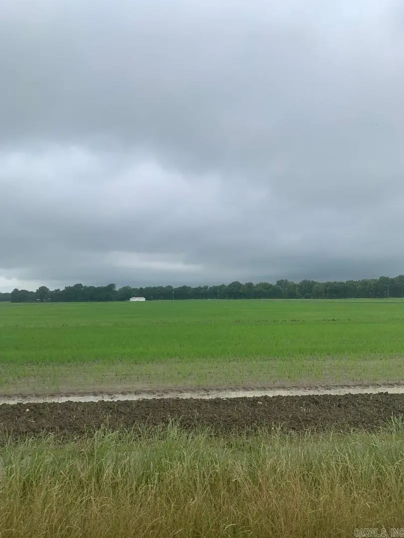 Address Withheld By Seller, Delaplaine, AR 72425 - #1