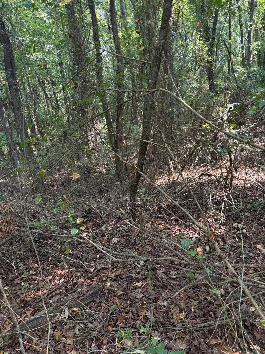 425 Bald Knob Lake Road, Bald Knob, AR 72020 - #3