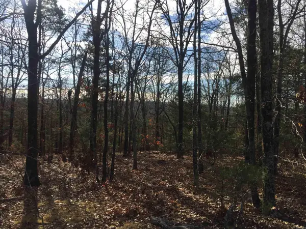 17 Alloway Lane, Bella Vista, AR 72715