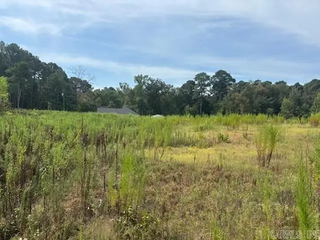 20301 Cole Lane, Little Rock, AR 72206 - #1