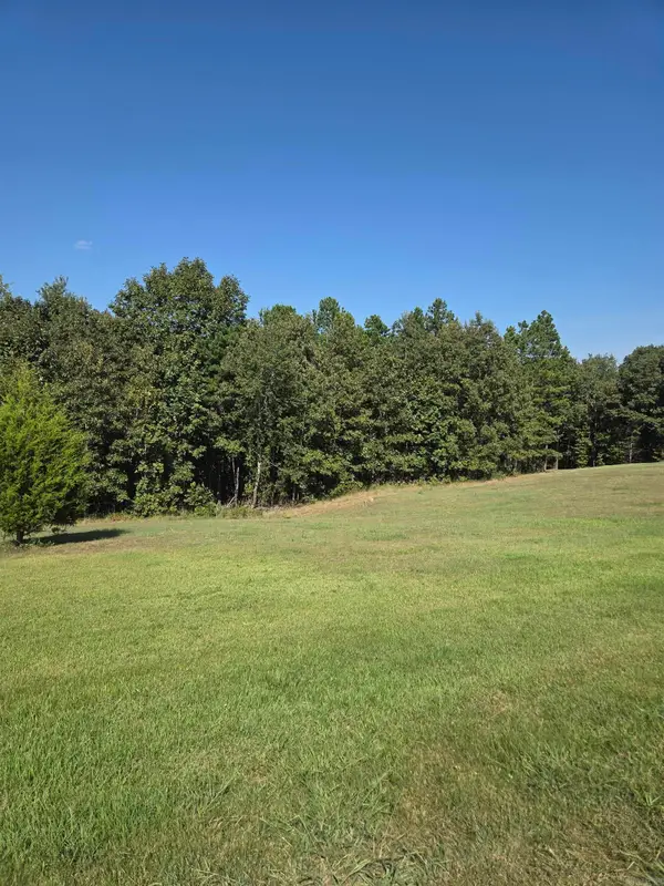lot 37 lot 38 Tournament Drive, Mountain View, AR 72560