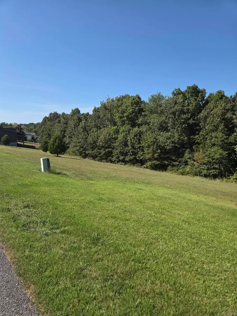 lot 37 lot 38 Tournament Drive, Mountain View, AR 72560 - #3