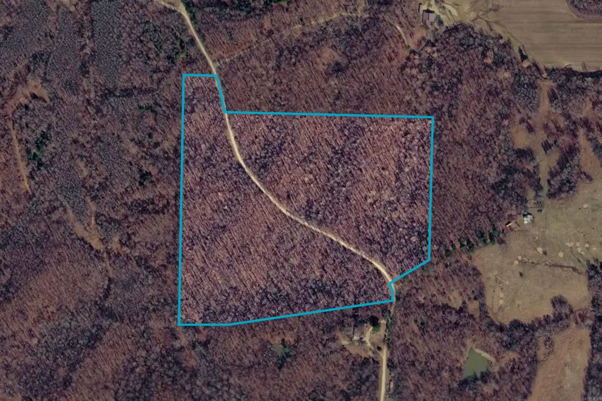 Tract 1 County 408 Road, Lafe, AR 72436 - #1