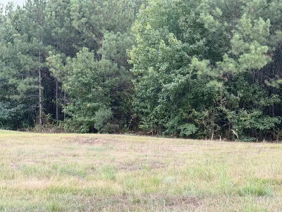 000 Shannon Road, Pine Bluff, AR 71603 - #2