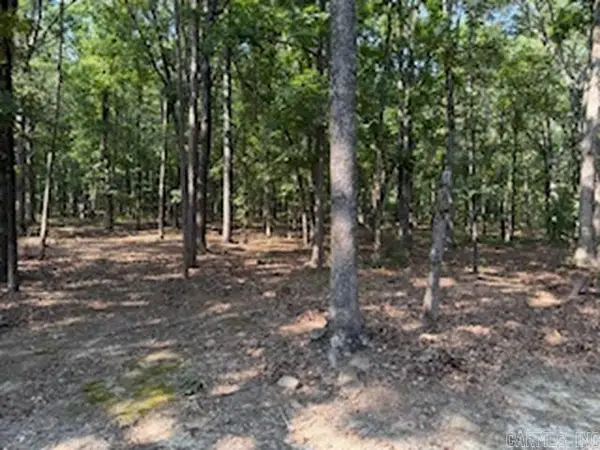 5.0 Acres 24 Oak Ct And Tracy Ann Terrace, Greers Ferry, AR 72067