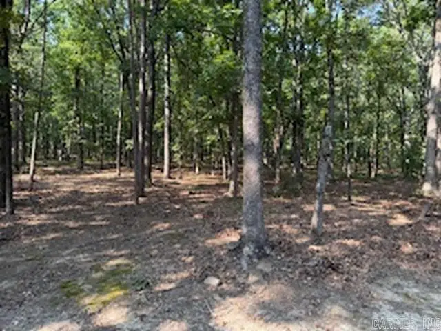 5.0 Acres 24 Oak Ct And Tracy Ann Terrace, Greers Ferry, AR 72067 - #2
