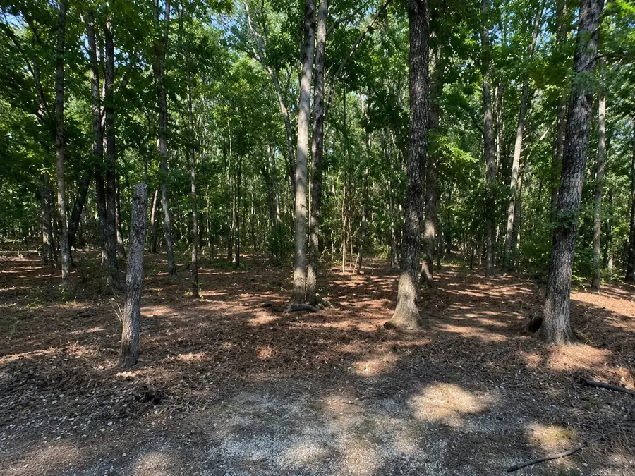 5.0 Acres 24 Oak Ct And Tracy Ann Terrace, Greers Ferry, AR 72067 - #3