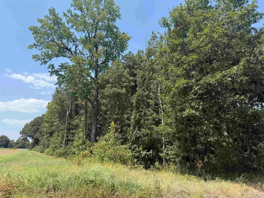 2 AC Gr 906 Rd, Paragould, AR 72450 - #2