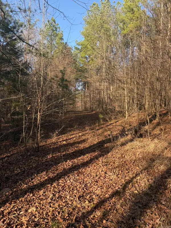 TBD Old Factory Site Road, Murfreesboro, AR 71958
