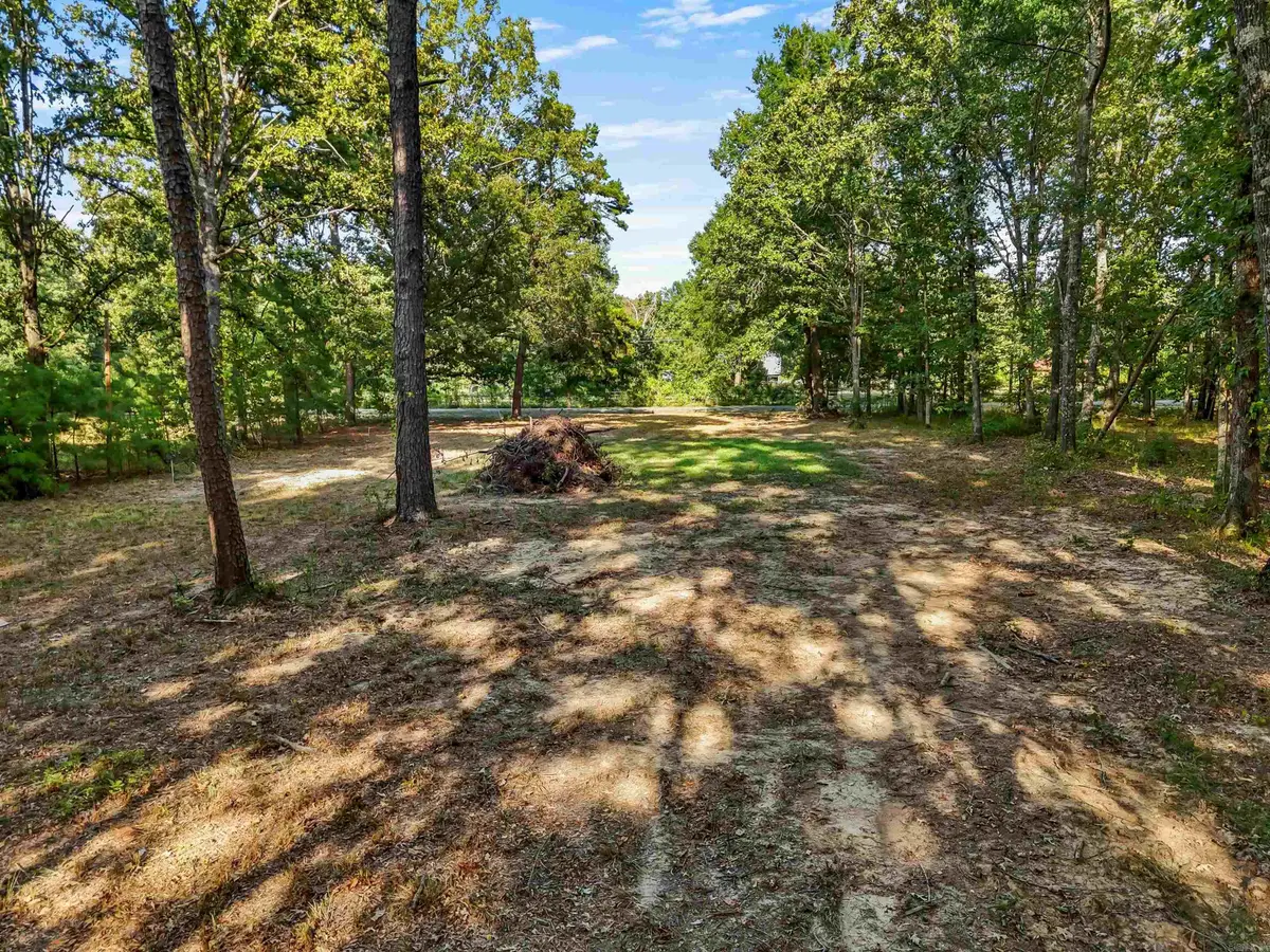 00 Divoky, Pine Bluff, AR 71603 - #1