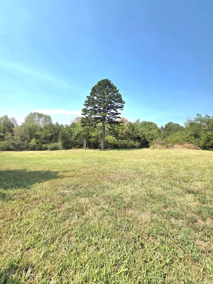 201 Whitfield Avenue, Mountain View, AR 72560 - #2