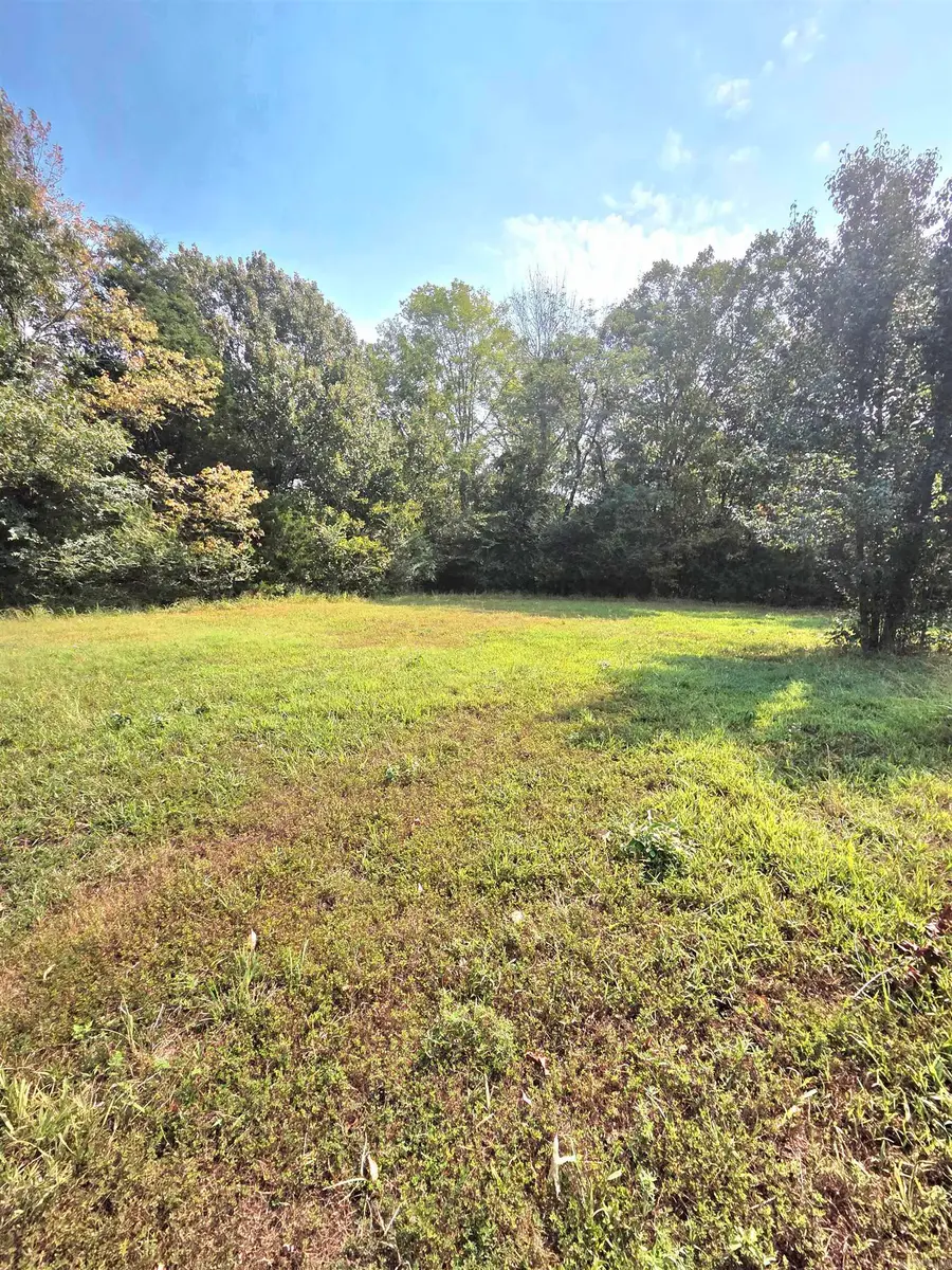 201 Whitfield Avenue, Mountain View, AR 72560 - #3