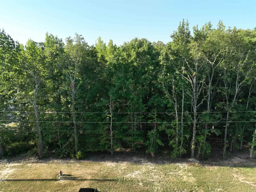 0 N Avilla Heights Road, Alexander, AR 72002 - #3