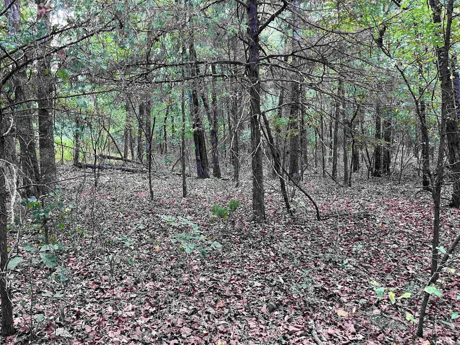001 Honeysuckle Road, Bald Knob, AR 72010 - #2