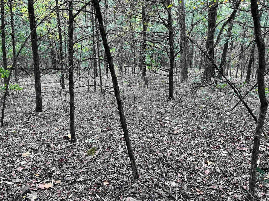 001 Honeysuckle Road, Bald Knob, AR 72010 - #3