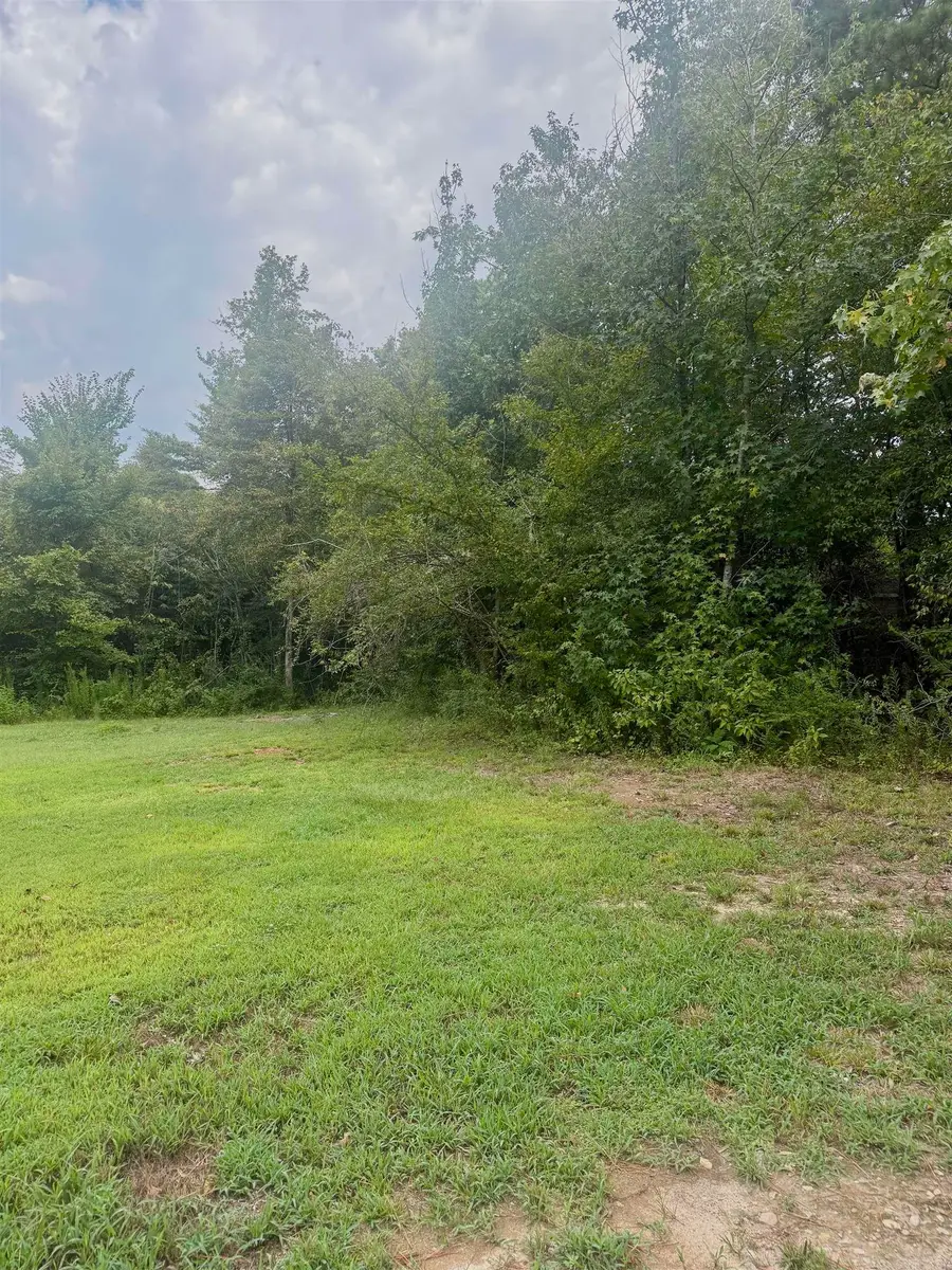 000 Brown East End Road, Hensley, AR 72065 - #2