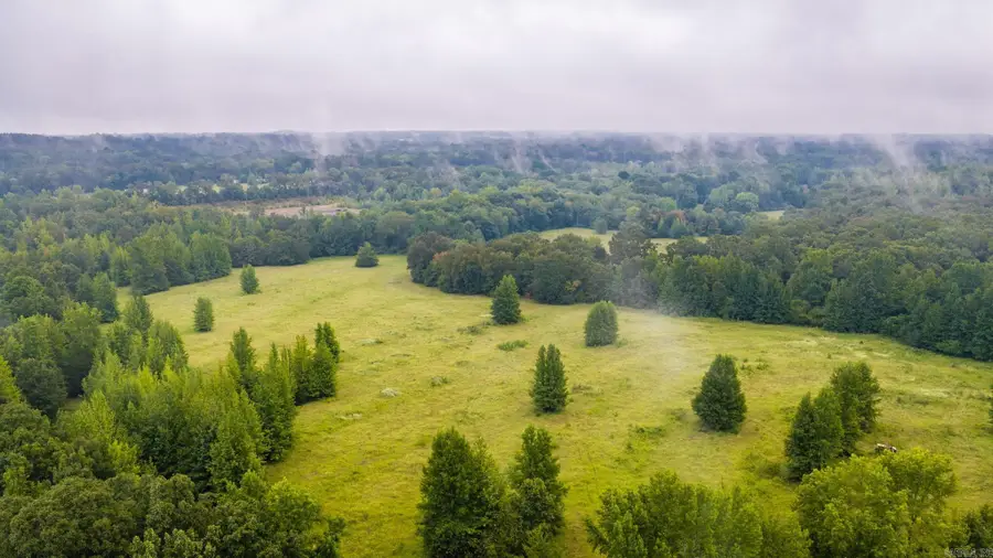 00 Wildcat Hollow, Greenbrier, AR 72058 - #3