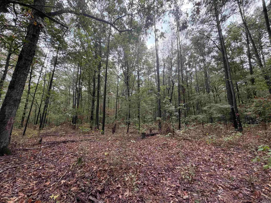 000 Smith Rd, Rison Township, AR 71665 - #2