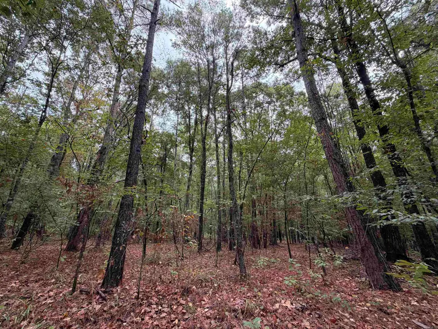 000 Smith Rd, Rison Township, AR 71665 - #3