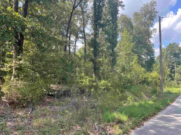 000 Maters Lane, Mountain View, AR 72560