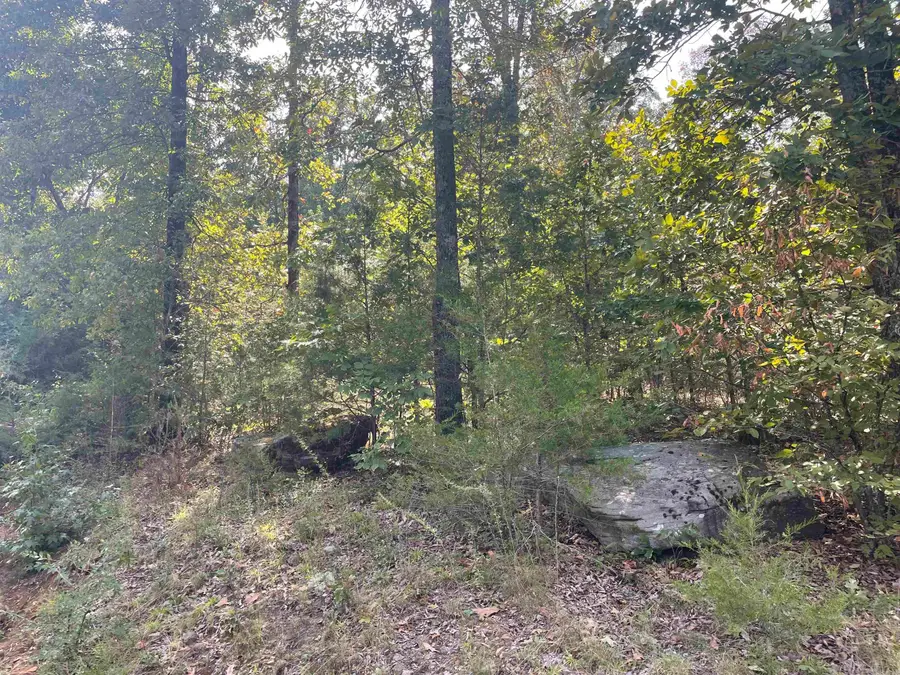 000 Maters Lane, Mountain View, AR 72560 - #3