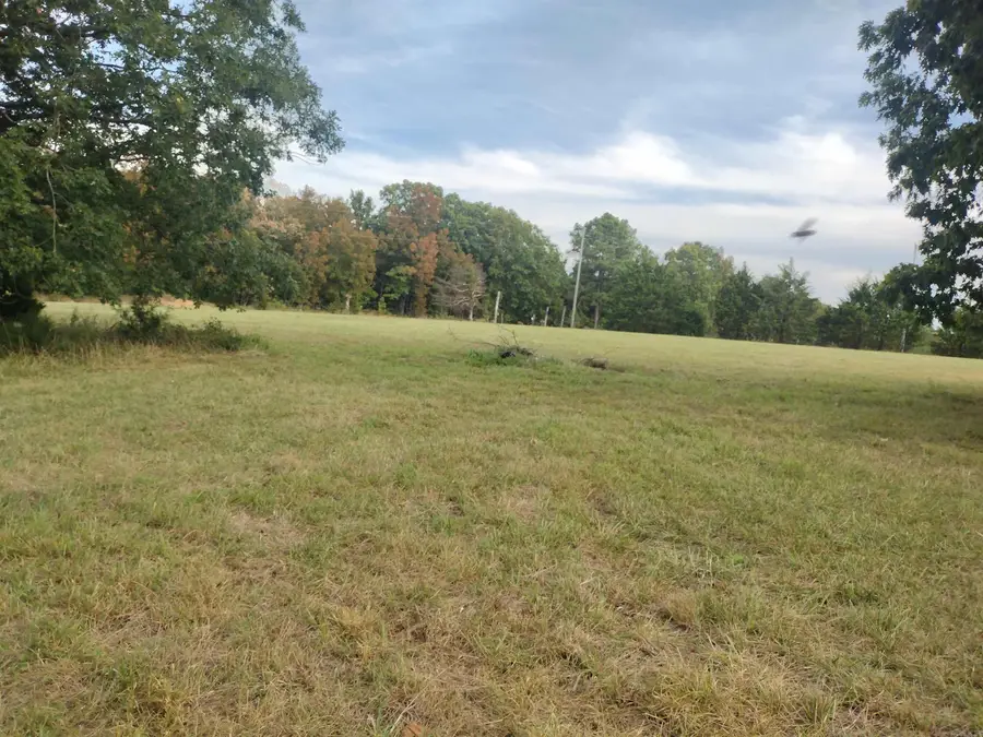 0 Shady Oak Dr, Mountain View, AR 72560 - #2