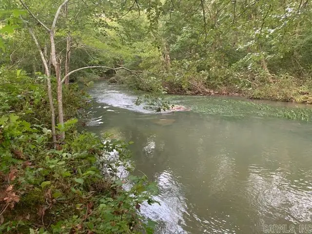 1602 Turkey Creek Road, Mountain View, AR 72560 - #3