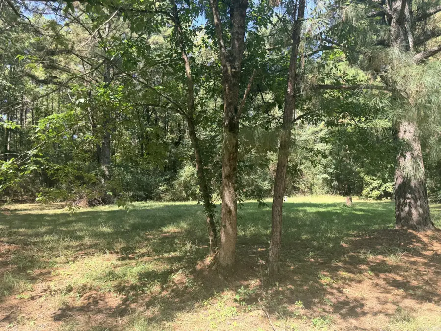 637 SW Front Street, Wilton, AR 71865 - #3