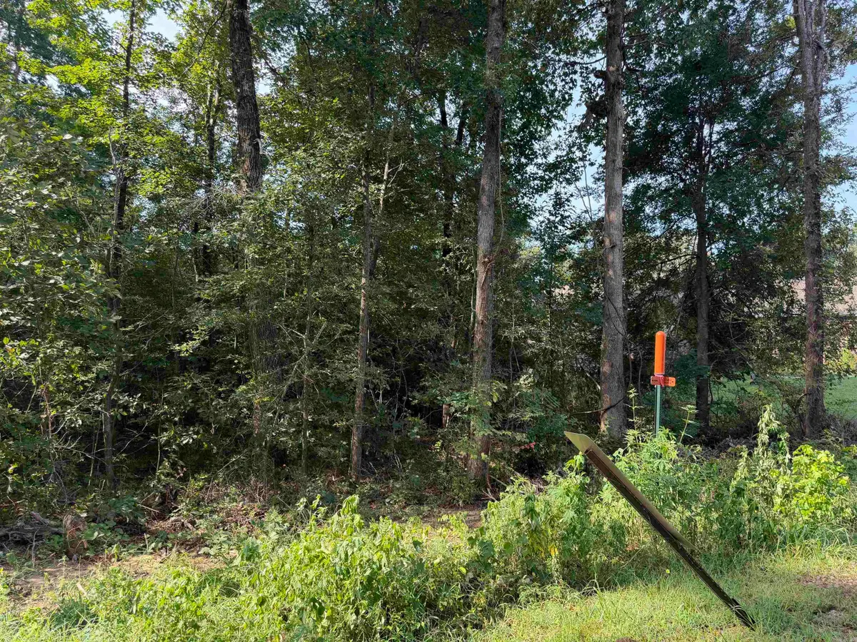 0 Castle Valley Road, Mabelvale, AR 72103 - #1