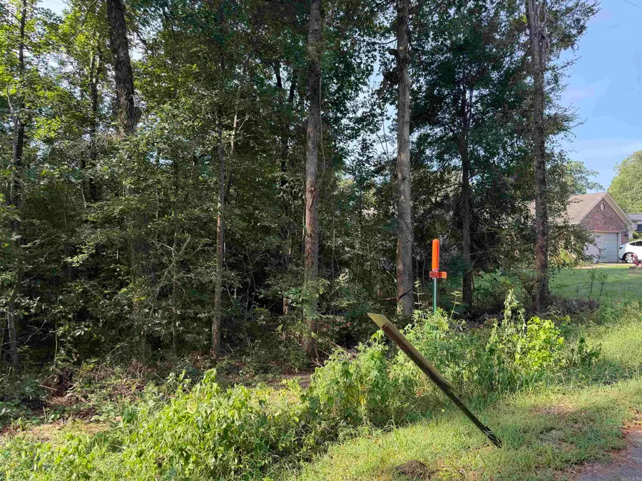 0 Castle Valley Road, Mabelvale, AR 72103 - #2