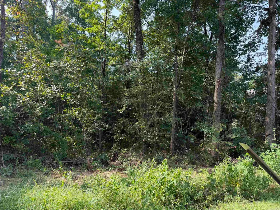 0 Castle Valley Road, Mabelvale, AR 72103 - #3