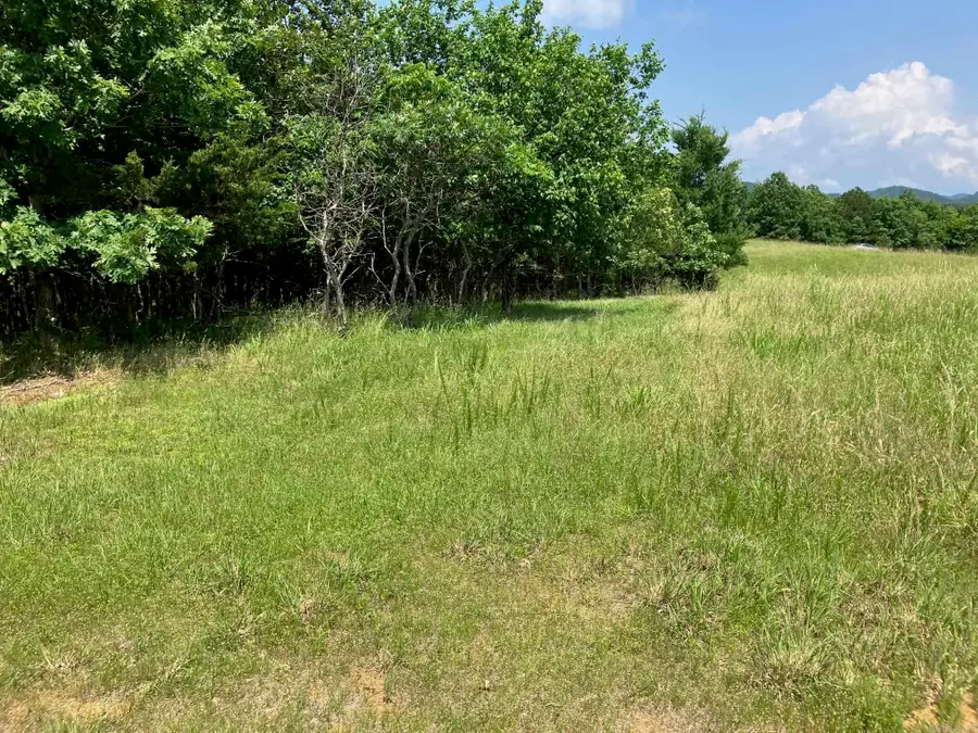 TBD Tract 4 Thompson Creek Lane Lane, Mena, AR 71953 - #2